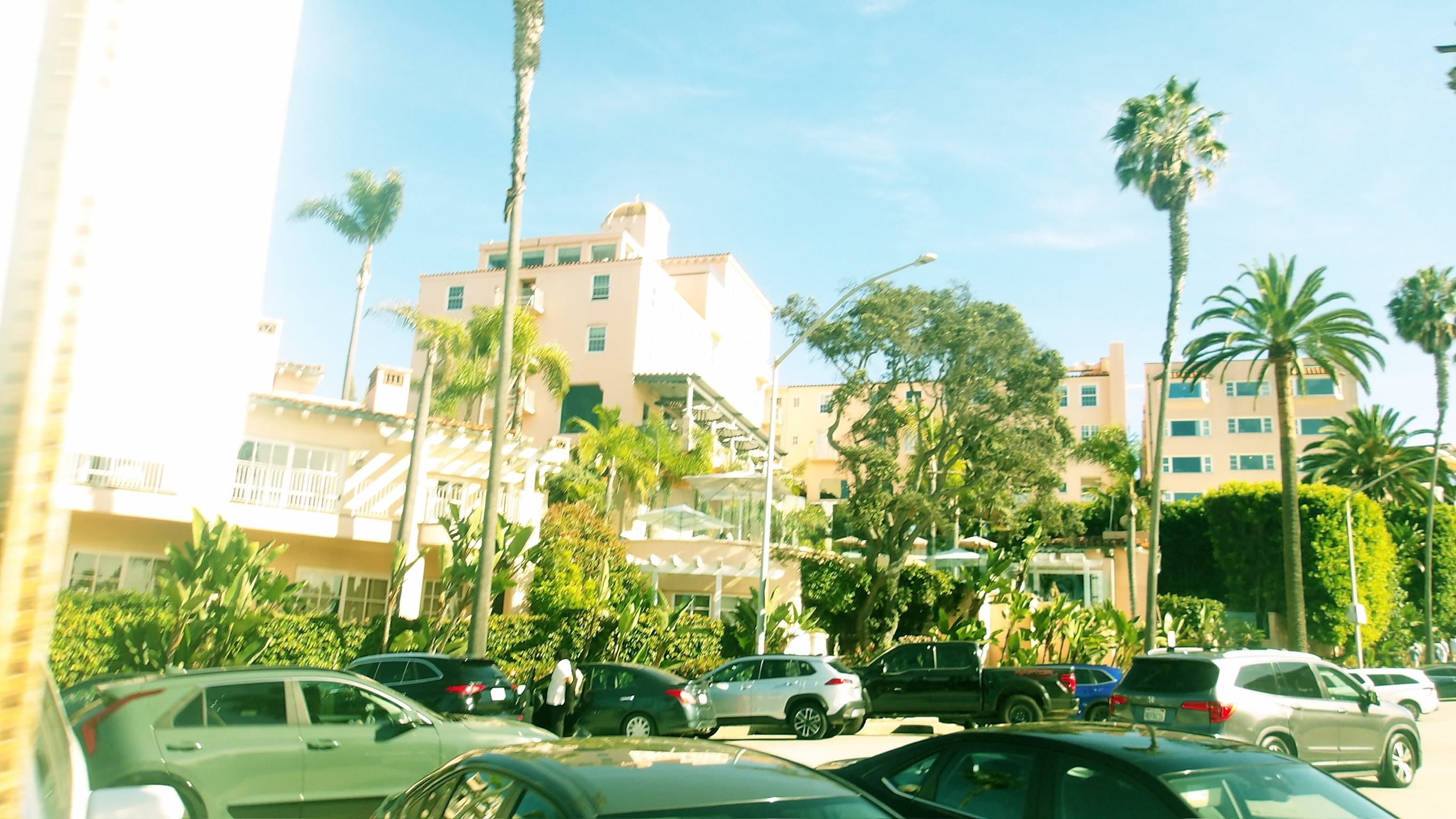 CALIFORNIA SPRING 26 photo